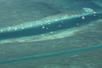 c016