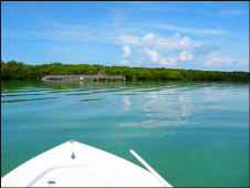 t027_Lignum Vitae, Florida Keys