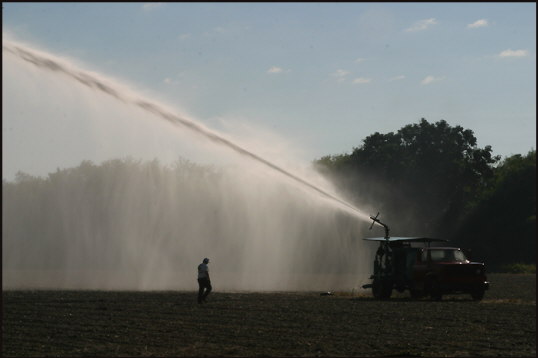 t038_Redlands, Florida