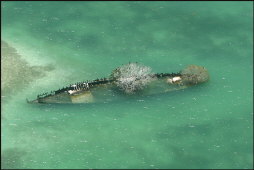 t042_Wreck, Marquesas Keys, Florida Keys