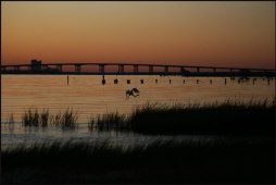 t047_Ocean Springs, Miss