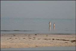 t079_Sea-Oats-Beach,-Florida-Keys