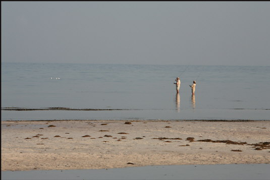 t079_Sea-Oats-Beach,-Florida-Keys
